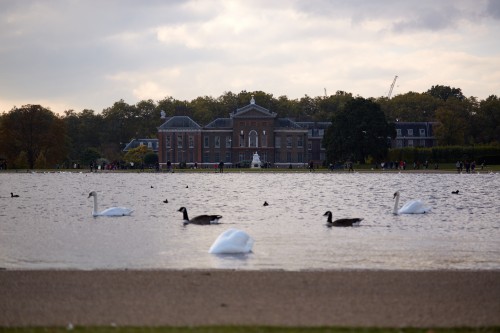 Canon 5D with 100-400mm @ 100mm  