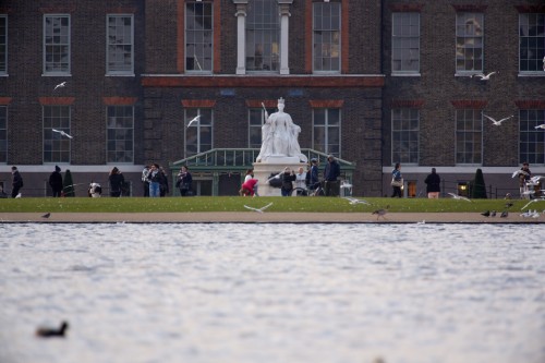 Canon 5D with 100-400mm @ 400mm and Kenko 1.4x  