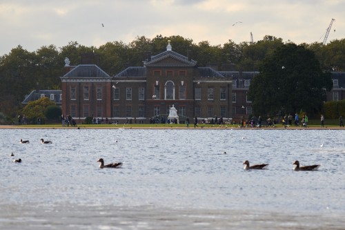 Canon 7D with 100-400mm @ 100mm  